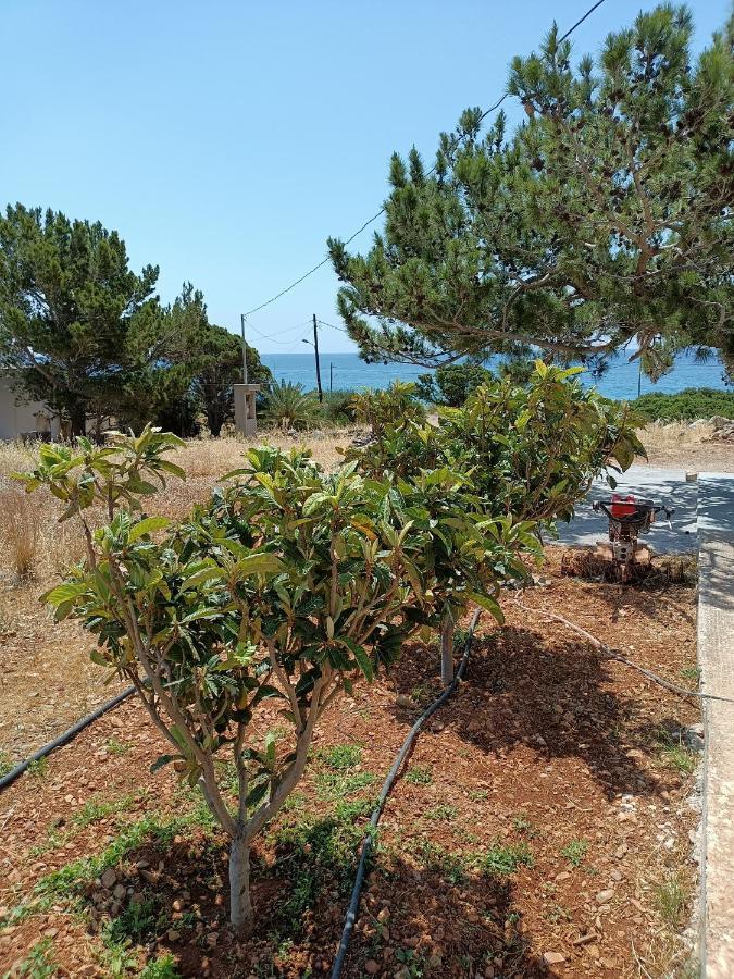 Makrýgialos Sea View Pine Houseヴィラ エクステリア 写真